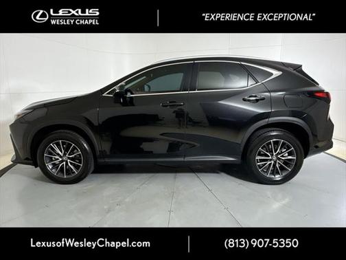 2025 Lexus NX 250 Premium