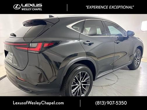 2025 Lexus NX 250 Premium