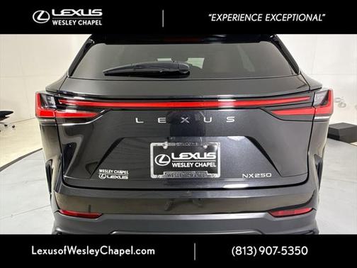 2025 Lexus NX 250 Premium