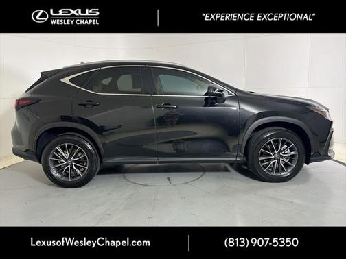 2025 Lexus NX 250 Premium