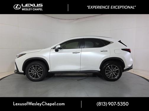 2024 Lexus NX 250 Premium