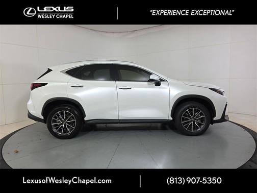 2024 Lexus NX 250 Premium