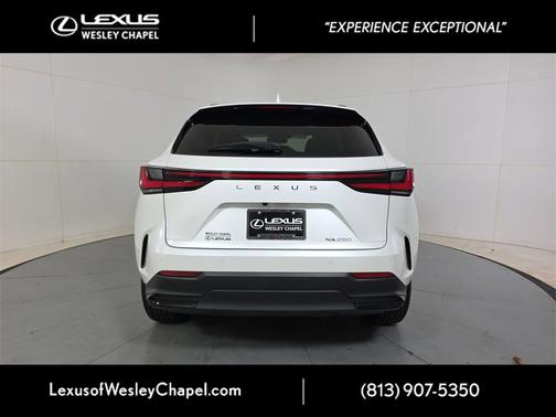 2024 Lexus NX 250 Premium