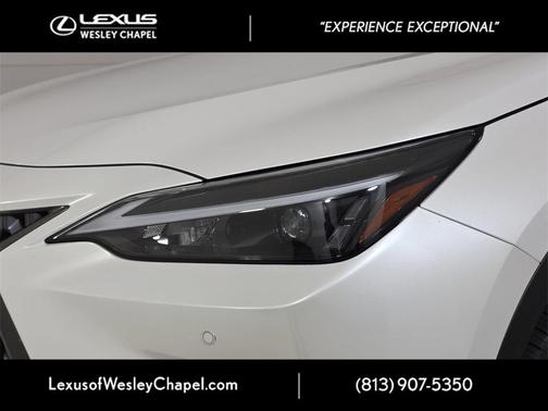 2024 Lexus NX 250 Premium