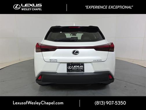 2025 Lexus UX 300h Base