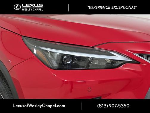 2025 Lexus NX 250 Premium