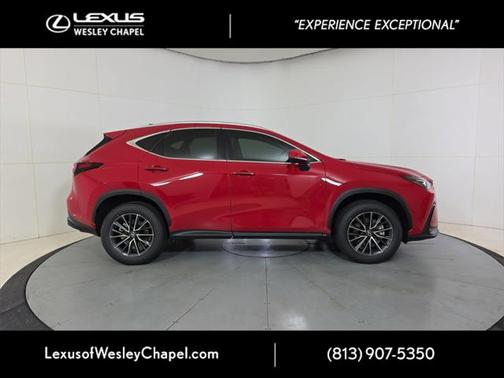 2025 Lexus NX 250 Premium