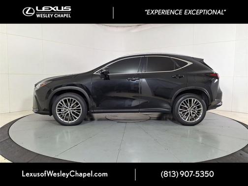 2023 Lexus NX 350 Luxury