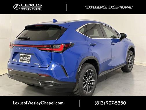 2025 Lexus NX 250 Base