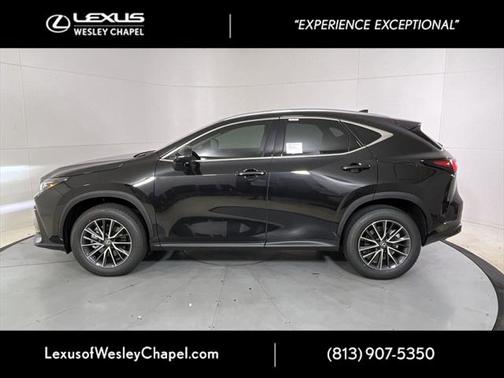 2025 Lexus NX 250 Base