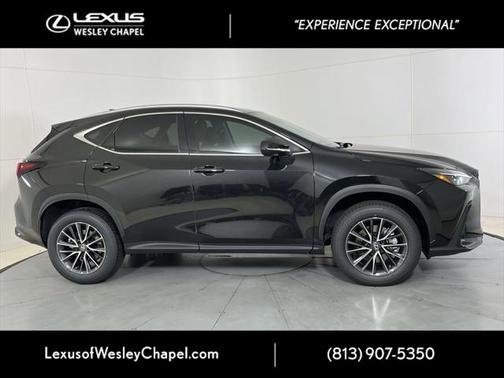 2025 Lexus NX 250 Base