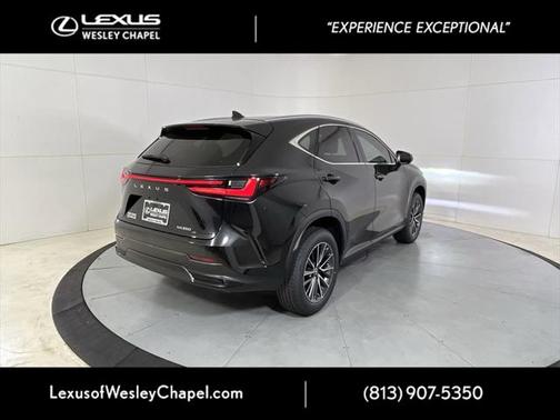 2025 Lexus NX 250 Base