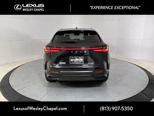 2025 Lexus NX 250 Base