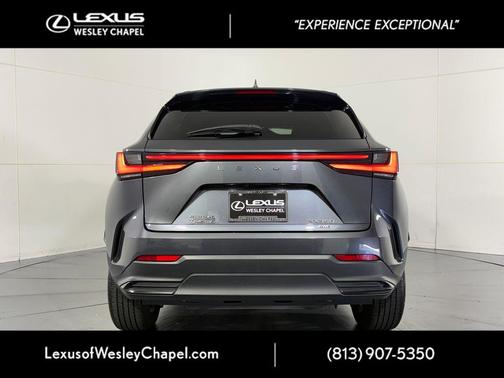 Cloudburst Gray 2024 Lexus NX 350 Luxury