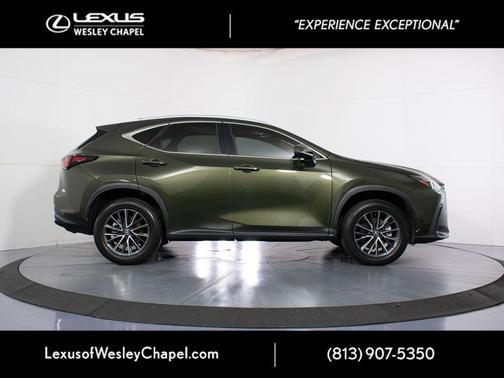 Nori Green Pearl 2024 Lexus NX 250 Premium