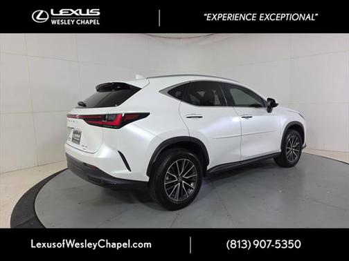 2024 Lexus NX 350 Premium