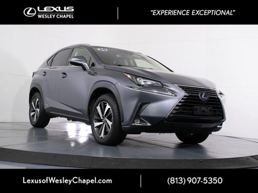 Nebula Gray Pearl 2020 Lexus NX 300h Base