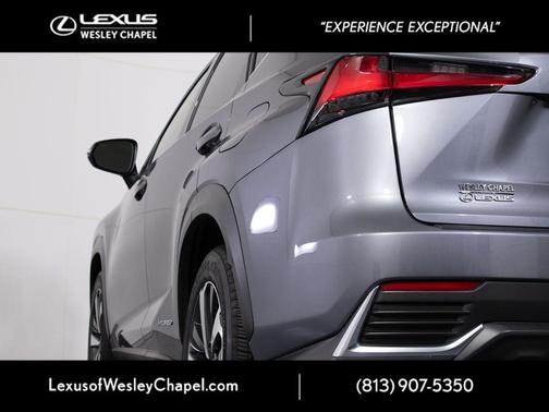 Nebula Gray Pearl 2020 Lexus NX 300h Base