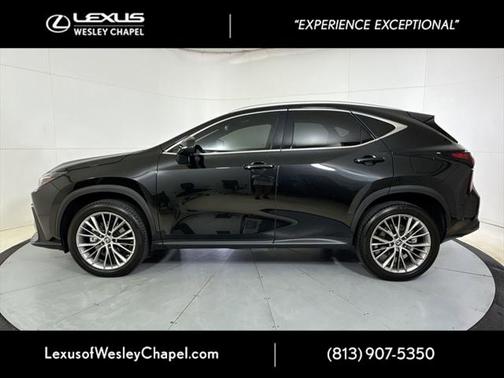 2023 Lexus NX 350 Luxury