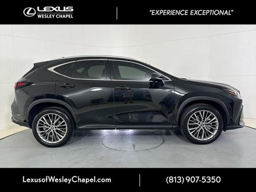 2023 Lexus NX 350 Luxury