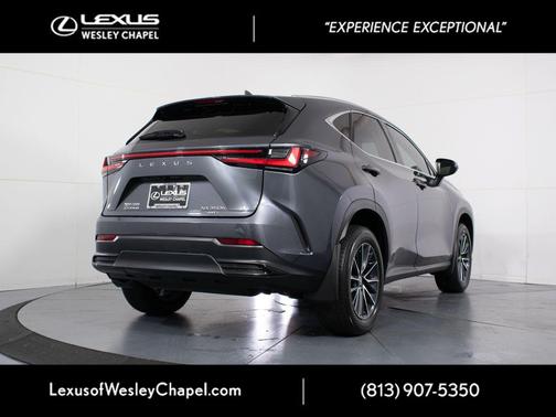 Cloudburst Gray 2024 Lexus NX 350h Premium