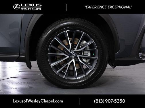 Cloudburst Gray 2024 Lexus NX 350h Premium