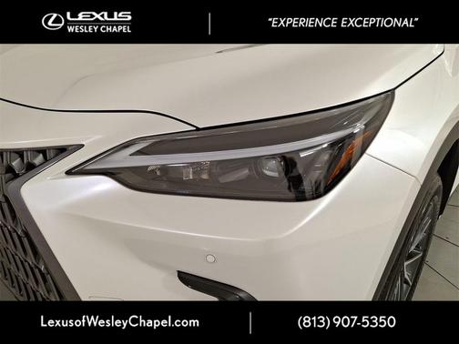 2025 Lexus NX 250 Premium