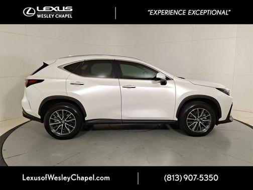 2025 Lexus NX 250 Premium
