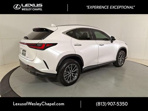 2025 Lexus NX 250 Premium