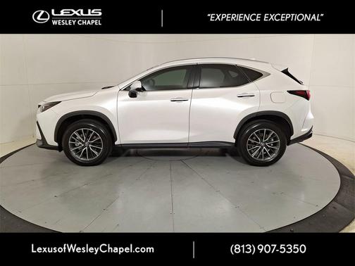 2025 Lexus NX 250 Premium