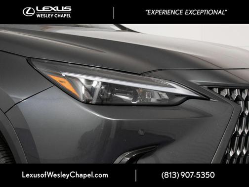 Cloudburst Gray 2025 Lexus NX 250 Premium