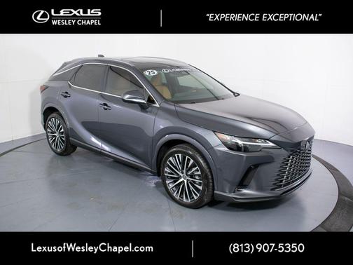Cloudburst Gray 2025 Lexus RX 350 Premium Plus