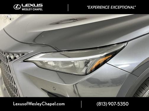 2025 Lexus NX 250 Premium