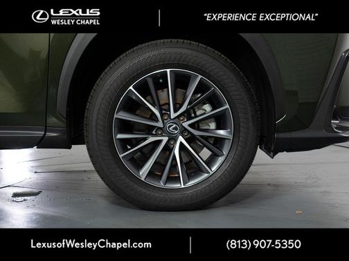 Green Pearl 2025 Lexus NX 250 Premium