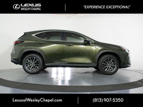 Green Pearl 2025 Lexus NX 250 Premium