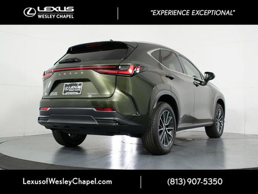 Green Pearl 2025 Lexus NX 250 Premium