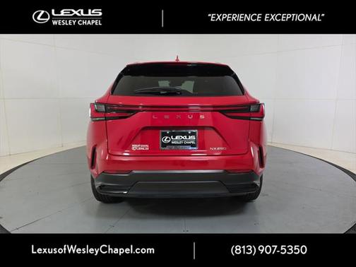 2025 Lexus NX 250 Premium