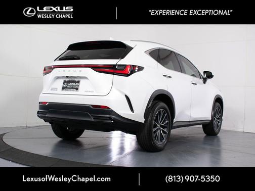 Dark Gray Metallic 2025 Lexus NX 250 Premium