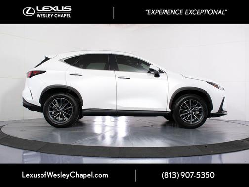 Dark Gray Metallic 2025 Lexus NX 250 Premium