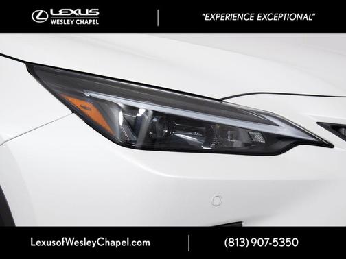 Dark Gray Metallic 2025 Lexus NX 250 Premium