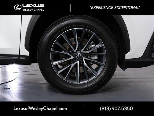 Dark Gray Metallic 2025 Lexus NX 250 Premium