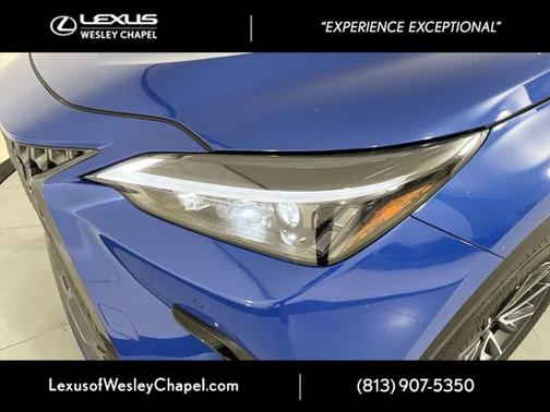 2025 Lexus NX 250 Base