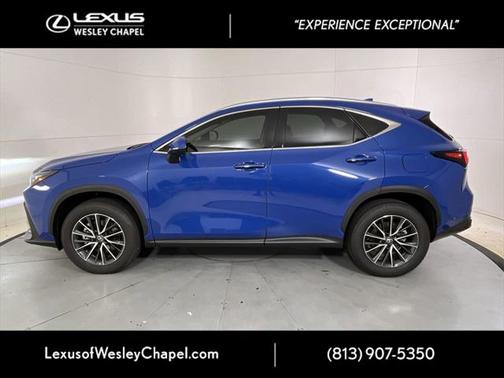 2025 Lexus NX 250 Base