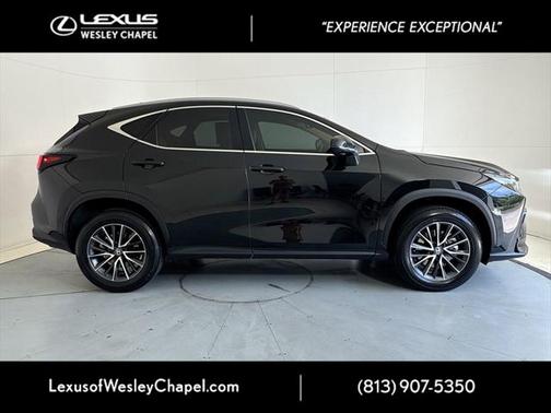 2024 Lexus NX 250 Base