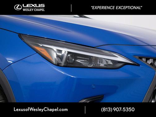 Grecian Water 2025 Lexus NX 250 Premium