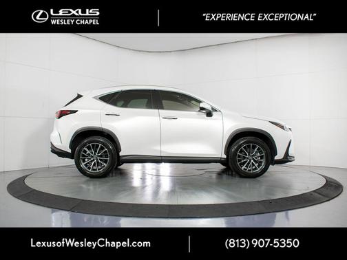 2024 Lexus NX 250 Base
