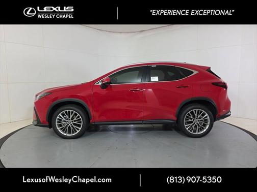 2025 Lexus NX 350 Premium