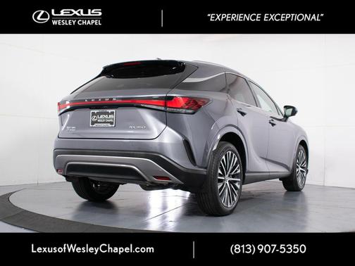 Nebula Gray Pearl 2023 Lexus RX 350 Premium Plus