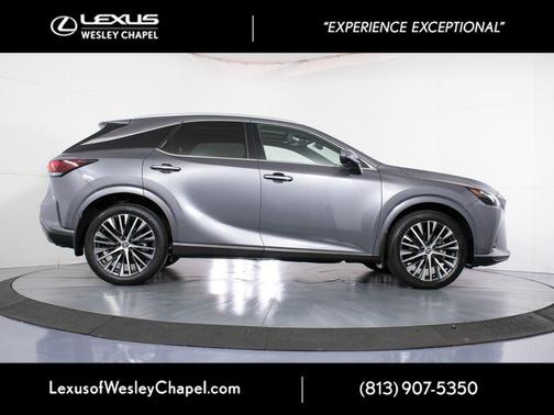 Nebula Gray Pearl 2023 Lexus RX 350 Premium Plus