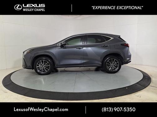 2024 Lexus NX 250 Base